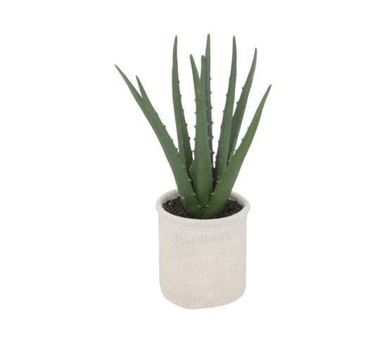 Plante Artificielle Aloe Vera Pot En Coton H 29 Cm