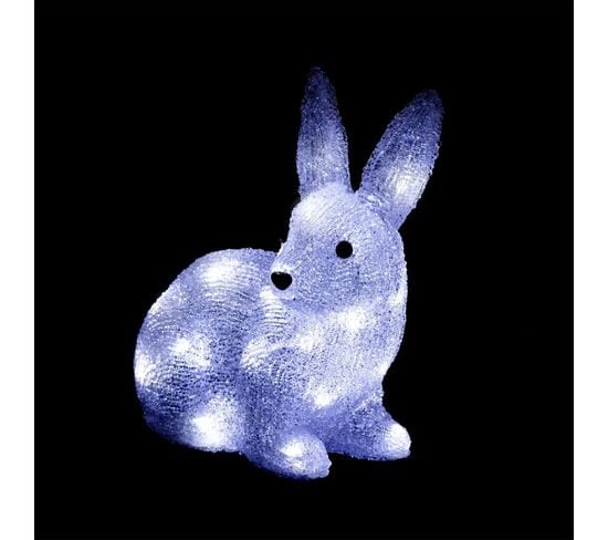 Lapin Lumineux Extérieur H24 Cm 30 LED - Blanc Froid