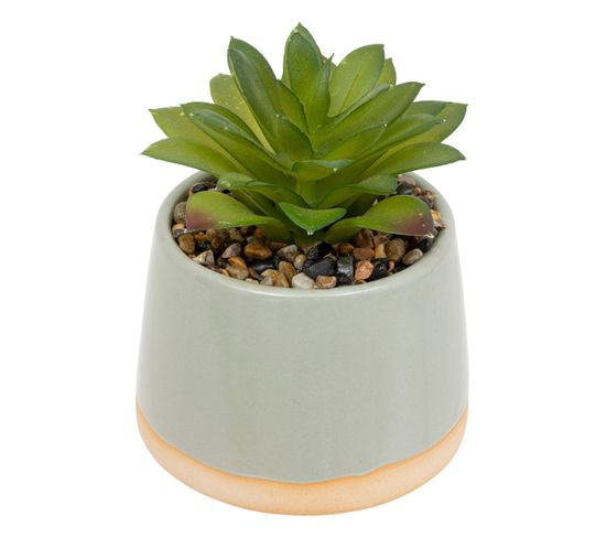 Plante Grasse Artificielle Pot En Céramique Émaillée H 12 Cm