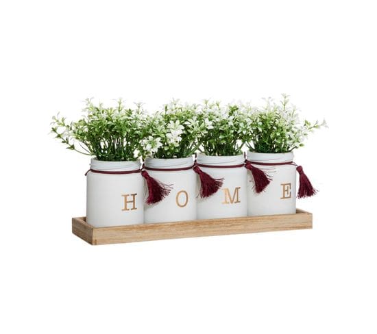 Set De 4 Plantes Artificielles Pots En Verre Avec Pompons Plateau En Bois