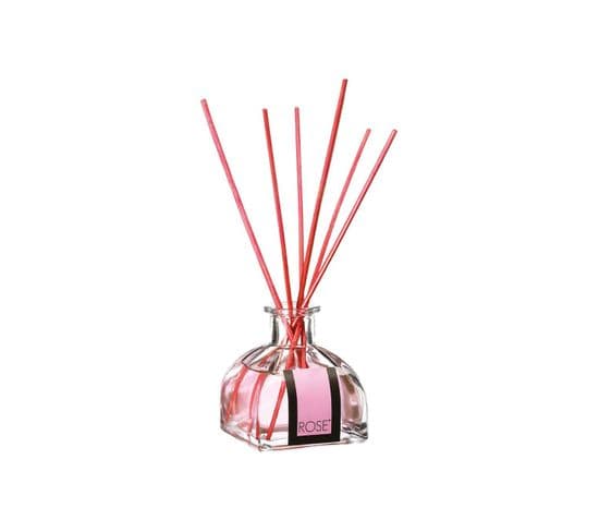 Diffuseur De Parfum 100 Ml Avec 6 Bâtonnets