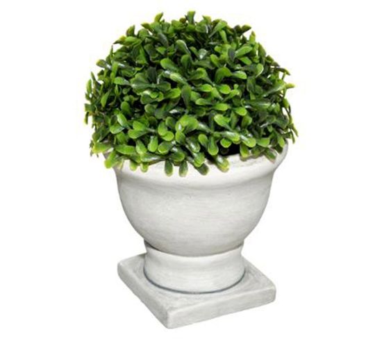 Plante Artificielle En Pot "buis" 19cm Blanc et Vert