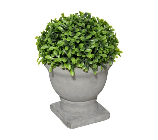 Plante Artificielle Buis En Pot D 14 X H 19 Cm