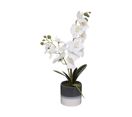 Plante Artificielle Orchidée Dans Un Pot En Céramique Bicolore H 45 Cm