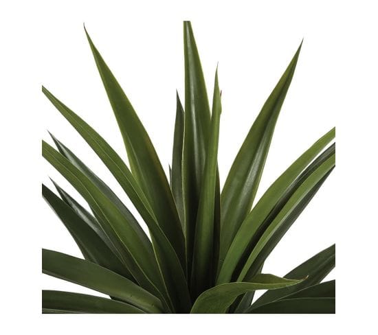 Agave géante H. 130 cm  vert