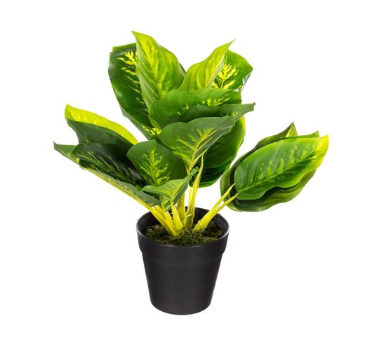 Plante Artificielle En Pot H 30 Cm