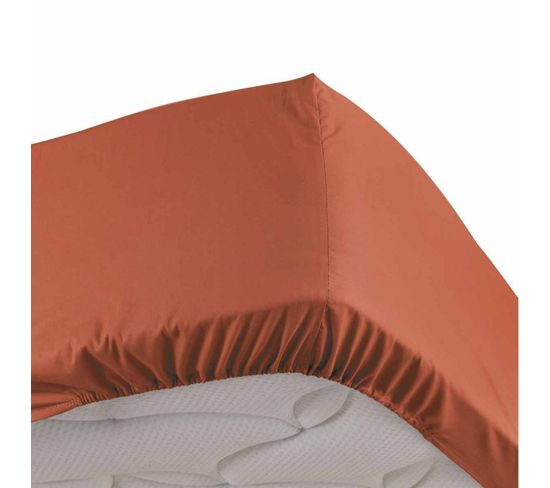 Drap Housse "percaline" 90x190cm Terracotta