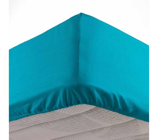 Drap Housse "jersy" 90x190cm Bleu Roi