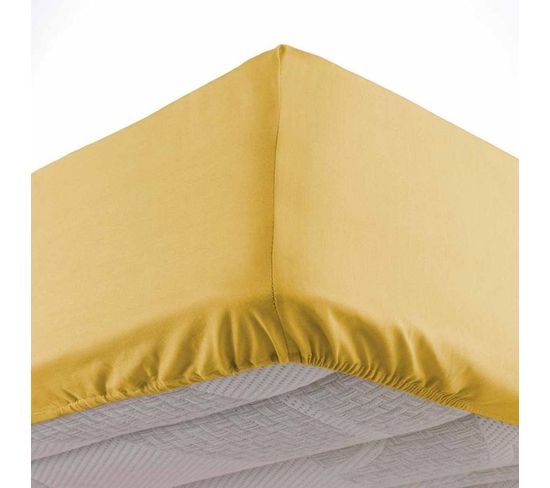 Drap Housse "oscar" 90x190cm Miel