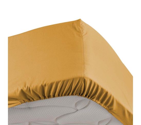 Drap Housse "percaline" 90x190cm Ocre