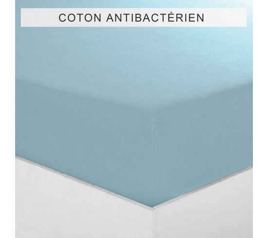 Drap-housse Coton Sanitized® Tertio® -180 X 200