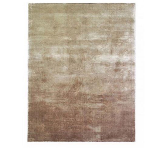 Tapis De Salon Moderne Nilo En Viscose - Beige Clair - 120x170 Cm