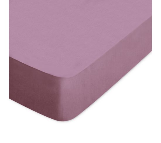 Drap Housse Uni 120x190 Cm Coton Alto Raisin