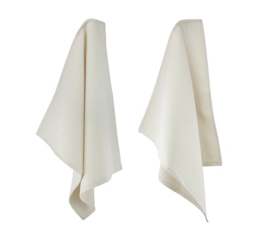 Lot De 2 Torchons De Cuisine 50x50 Cm Nid D'abeille Pure Kitchen Waffle Ivoire