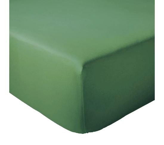 Drap Housse 90x190 Cm Bonnet 40 Coton Évasion Vert Fougère