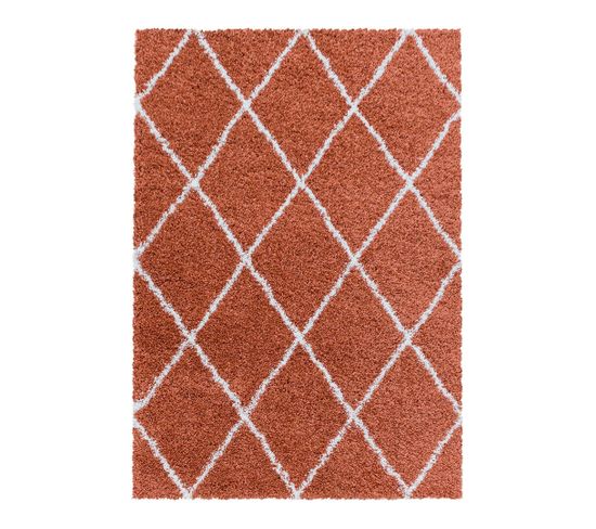 Tapis Shaggy Design Rectangle Géométrique Chantecler Terre 160x230