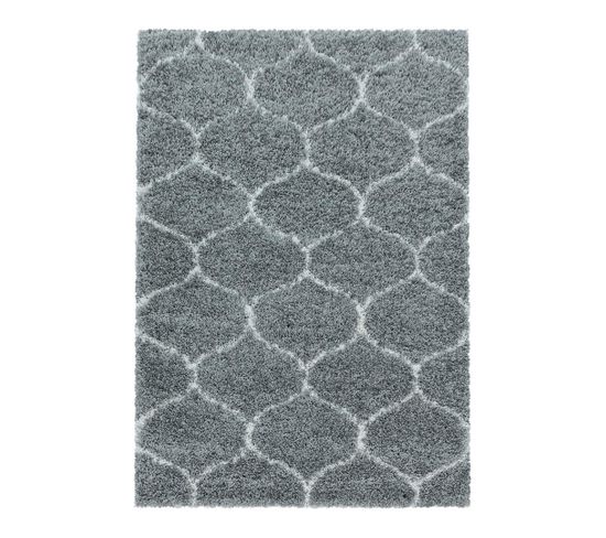 Tapis Shaggy Baroque Rectangulaire Lokalt Gris 160x230