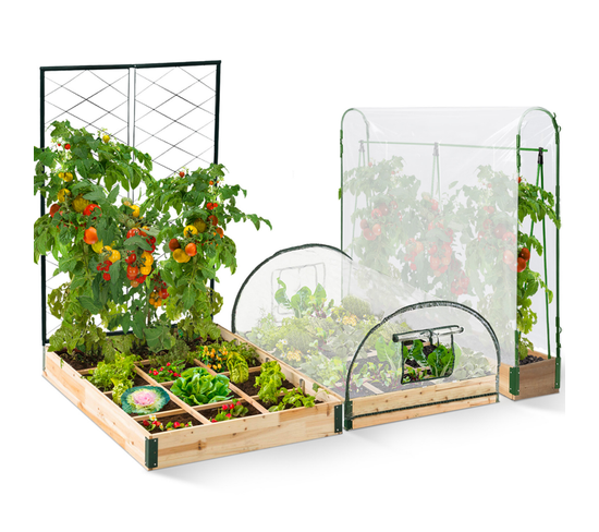 Kit Complet 3 Bacs Modulables Carrés Potager Et Serre à Tomates + Treillis + Housse