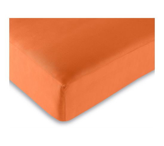 Drap Housse 57 Fils/cm² - Orange - 140 X 190 Cm