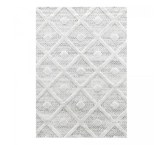 Tapis Salon 140x200 Pistioum Gris, Blanc