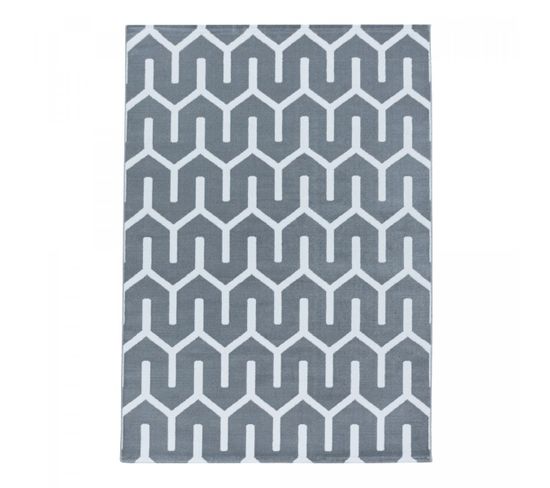 Tapis Salon 140x200 Lisuve Gris, Blanc