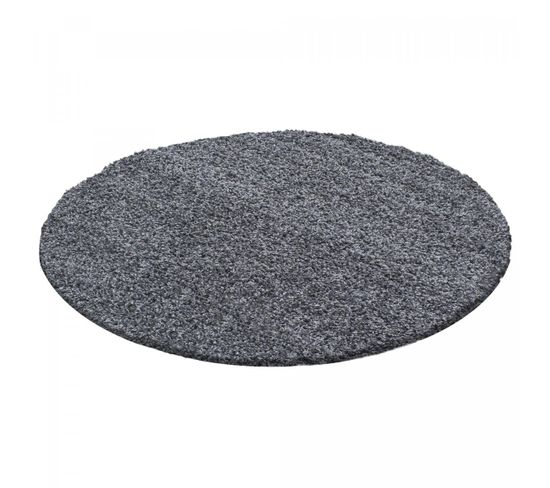 Tapis Poils Longs Shaggy Ø200cm Rond Tissé Gris Motif Uni Uni L