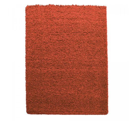 Tapis Shaggy 120x170 Uni L Terra