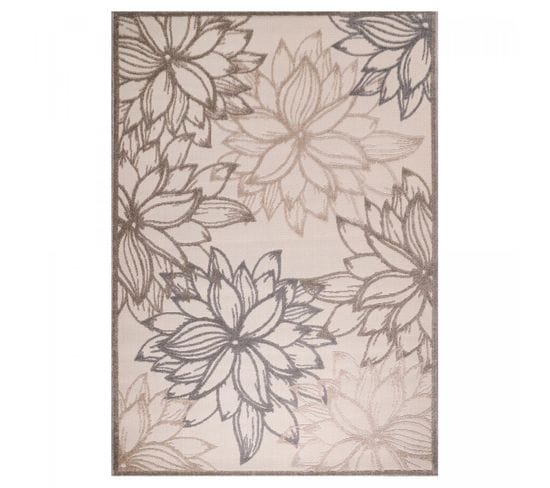 Tapis Exterieur 200x290 Chimeko Marron, Crème