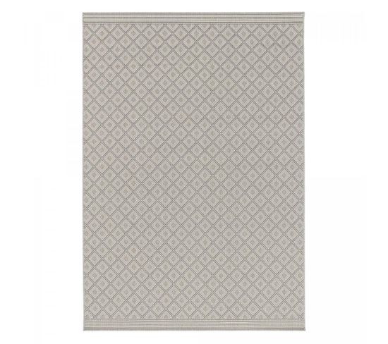 Tapis Exterieur 200x290 Moondow Argent