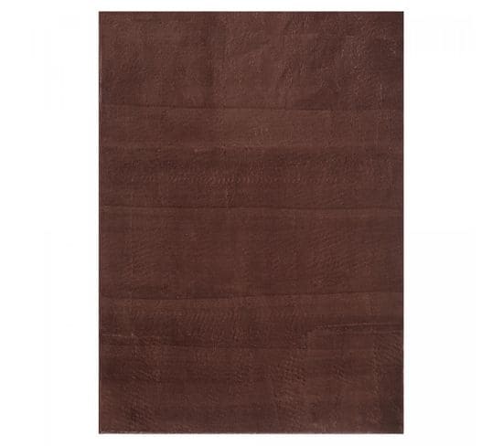 Tapis Salon 80x150 Anvik Marron