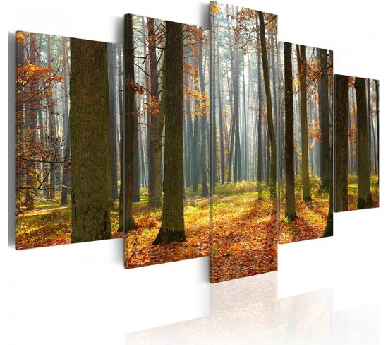 Tableau Un Joli Paysage De Forêt 100 X 50 Cm Vert