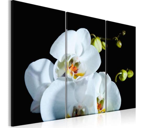 Tableau Orchidée Blanche Comme Neige 60 X 40 Cm Blanc