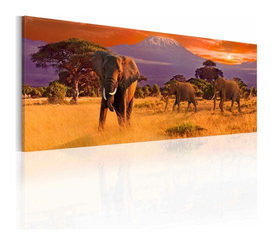 Tableau Marche Des Éléphants D'afrique 135 X 45 Cm Orange