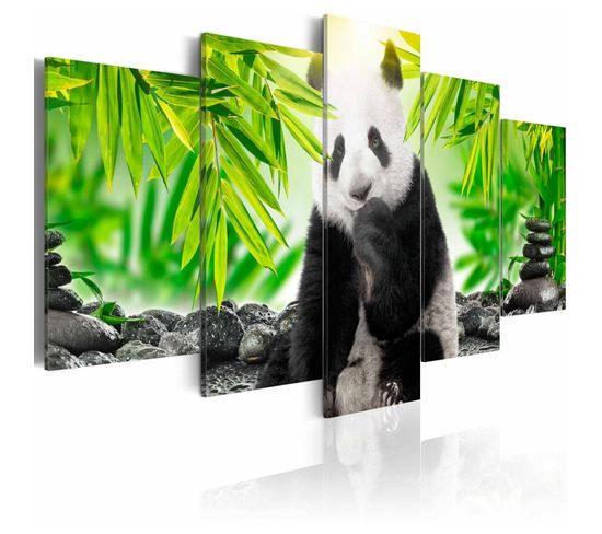 Tableau Doux Petit Panda 200 X 100 Cm Vert