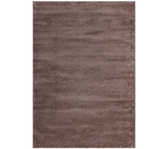 Tapis Tissé Sainte Lucie Castries Chatain 200 X 290 Cm Gris