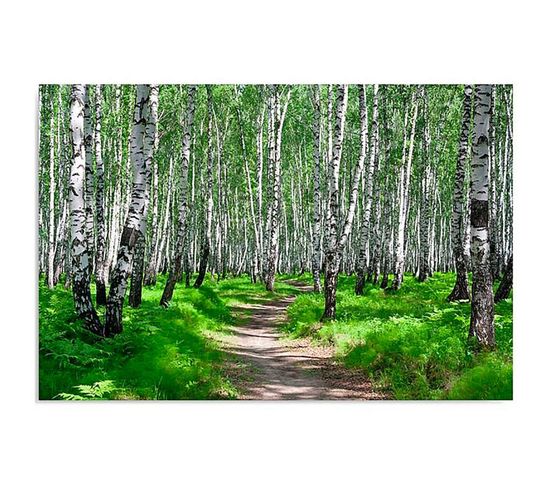 Tableau Forêt De Bouleaux 2 50 X 40 Cm Vert