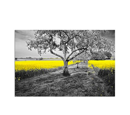 Tableau Colza Jaune 50 X 40 Cm Jaune