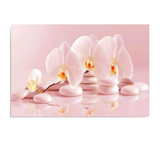 Tableau Orchidées Zen 100 X 70 Cm Rose