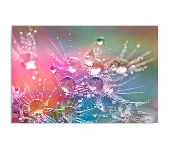 Tableau Des Gouttes D'eau Sur Trois Dmuchawcu 40 X 30 Cm Multicolore