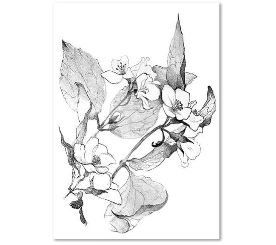 Tableau Branches En Fleurs 50 X 70 Cm Blanc