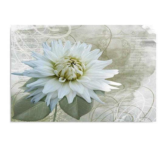 Tableau Bois Fleur Blanche 80 X 60 Cm Beige