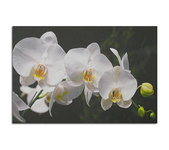 Tableau Bois Orchidées Blanches 100 X 70 Cm Blanc