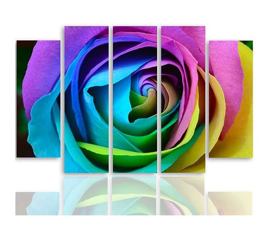 Tableau Couleur Rose 300 X 140 Cm Multicolore