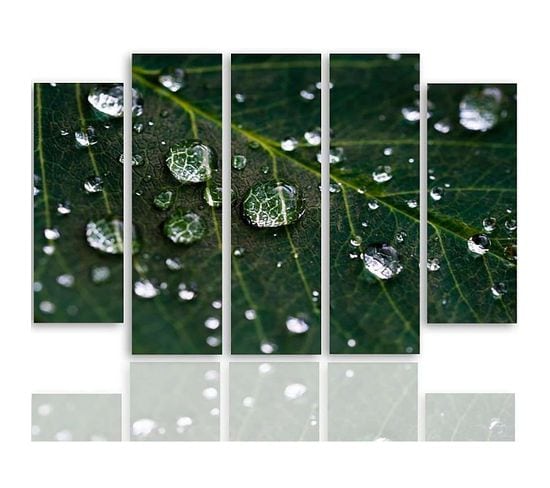 Tableau Gouttes De Pluie Sur Une Feuille 150 X 100 Cm Vert