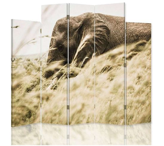 Paravent Design Éléphant Sauvage Et Nature Serengeti 180 X 180 Cm - 2 Faces R° V° + 360° Beige