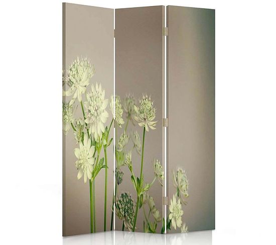 Paravent Trèfle 3 Panneaux Design Floral Élégant Et Moderne 110 X 150 Cm - 1 Face Déco Beige