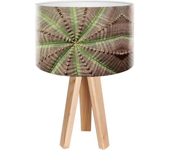 Lampe De Chevet Bois Vert 30x30x45cm