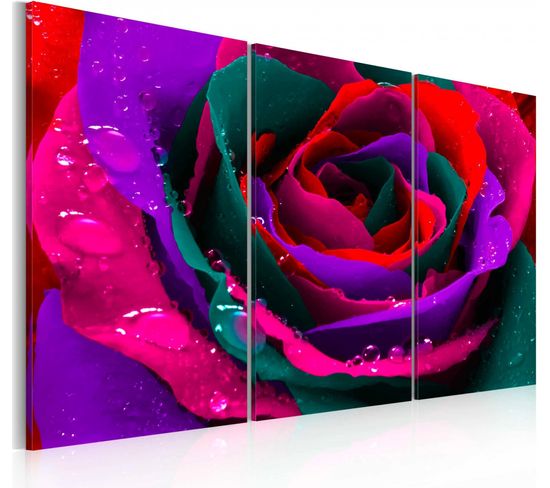 Tableau Rose Irisée 90 X 60 Cm Rouge