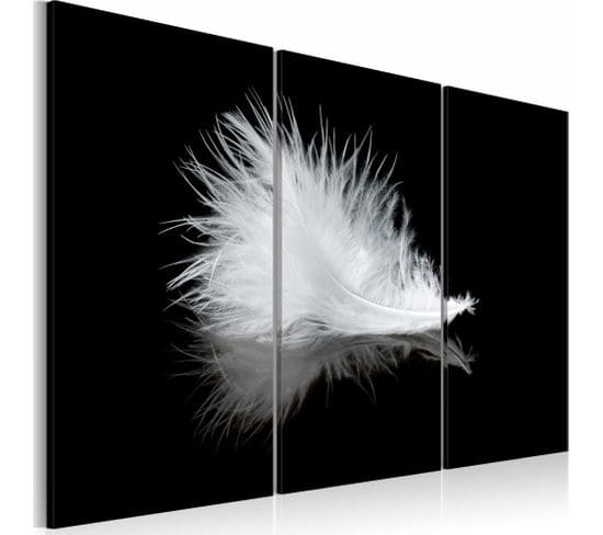 Tableau Petit Panache 90 X 60 Cm Noir