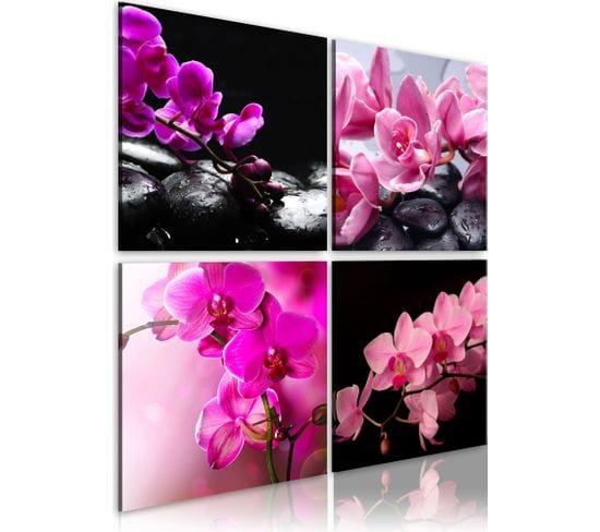 Tableau Orchidées Plus Belles Que Jamais 60 X 60 Cm Rose